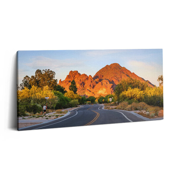 Obraz canvas 140x70 cm Pohled na horu Camelback