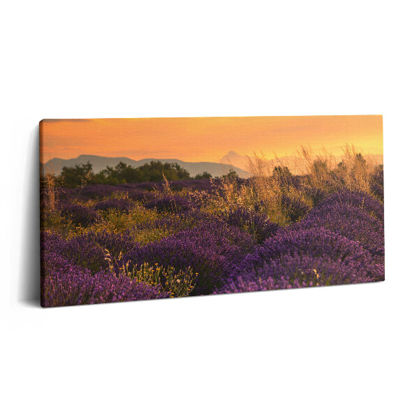 Obraz na plátně 140x70 Levandulová louka Provence Francie
