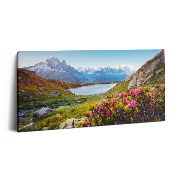 Obraz na plátně 140x70 Ledovec Mont Blanc Chamonix