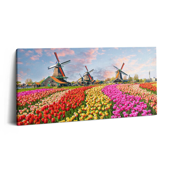 Obraz z fotografie na plátně 140x70 cm Krajina s tulipány Nizozemsko
