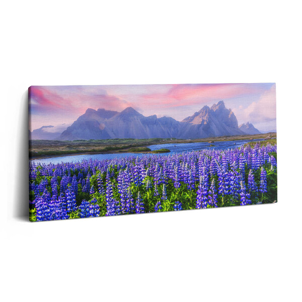 Obraz z fotografie na plátně 140x70 cm Levandulová pole - Island