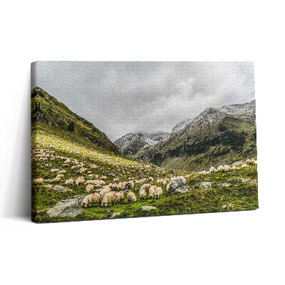 Obraz canvas 30x20 Ovce na louce v horách