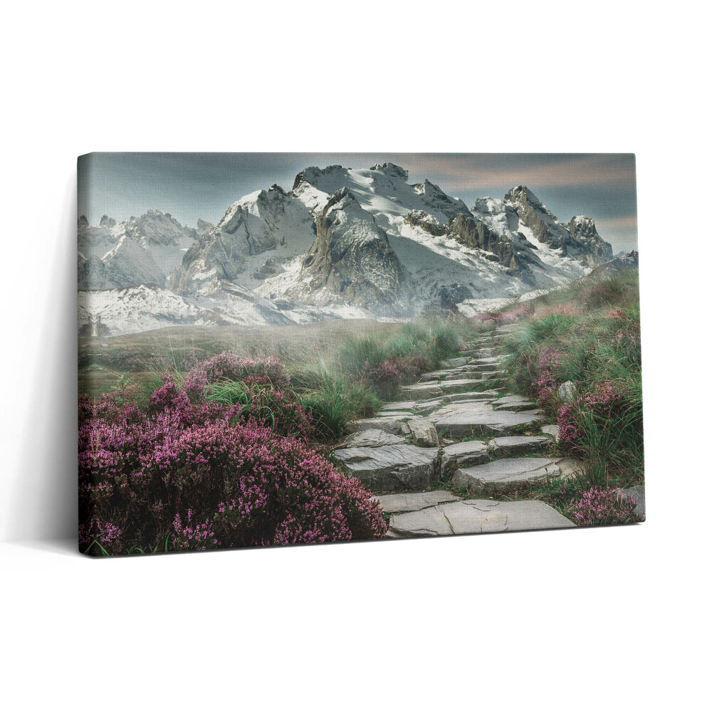 Obraz canvas 30x20 Kamenná cesta v horách