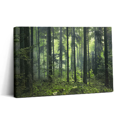 Obraz na plátně 30x20 Krajina stromů a lesní vegetace