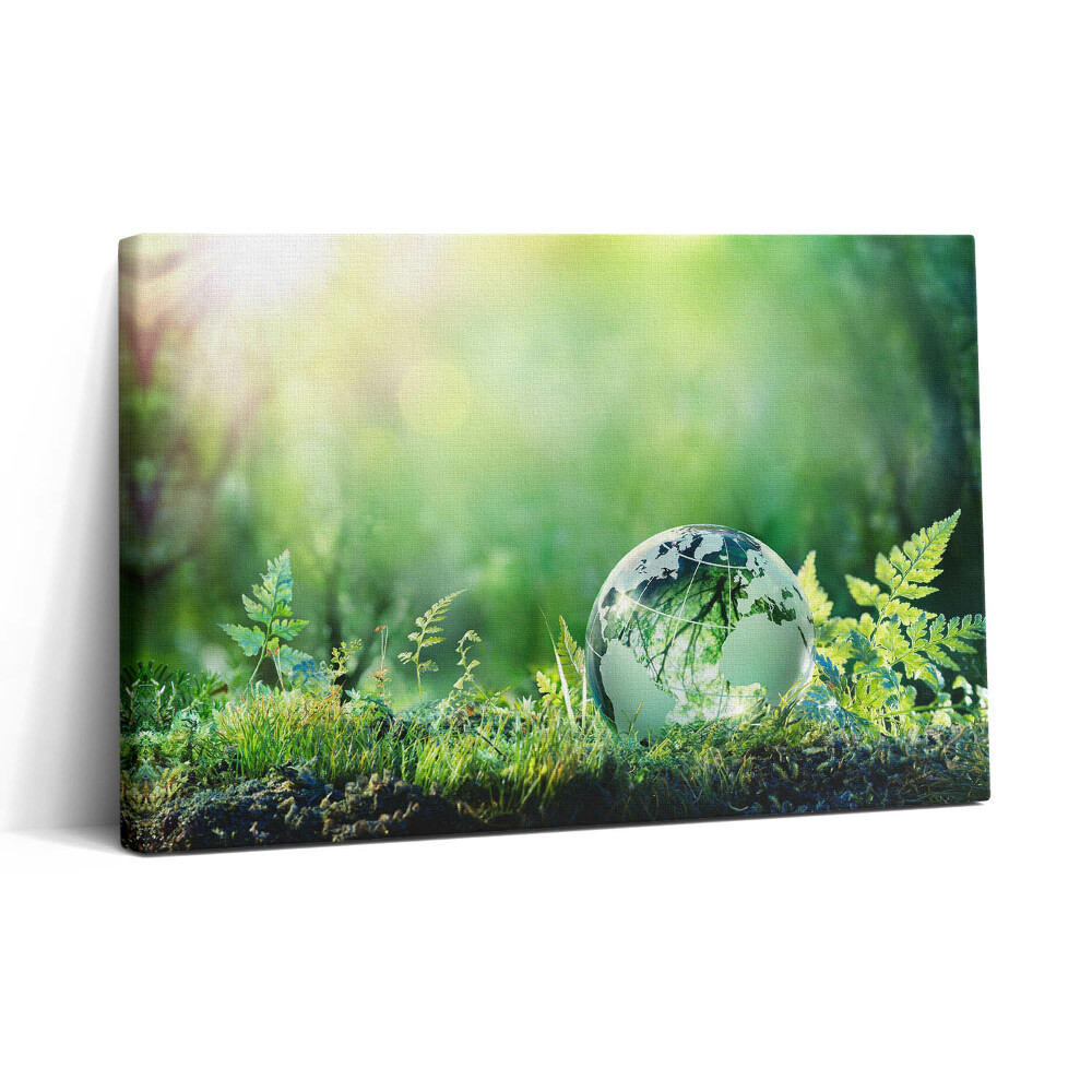 Obraz na plátně 30x20 Zeměkoule na trávě