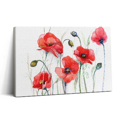 Obraz na plátně 30x20 Umělecká malba - červené vlčí máky