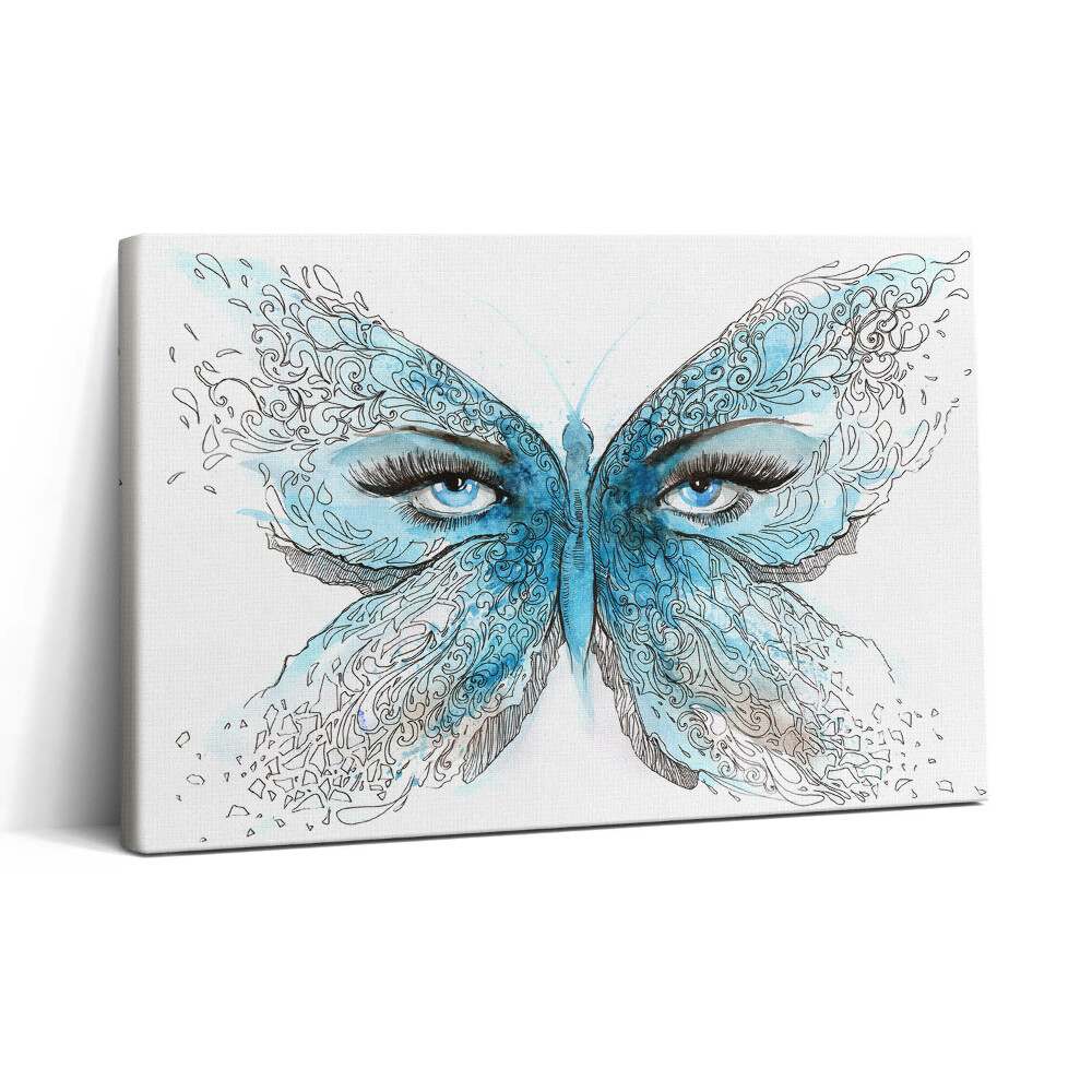 Obraz na plátně 30x20 Tvář motýla