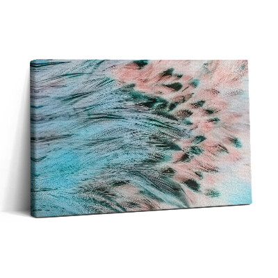 Obraz na plátně 30x20 Barevné peří