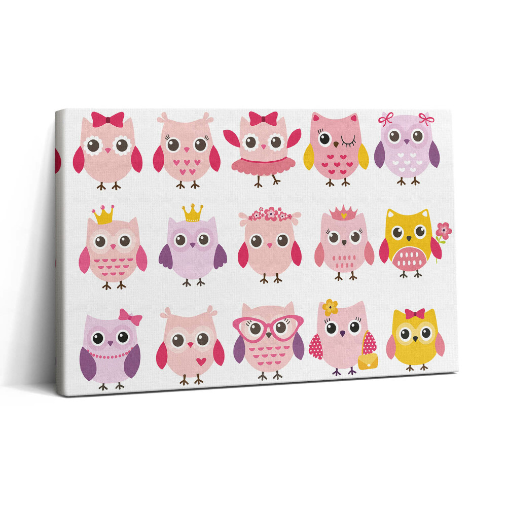 Obraz canvas 30x20 Barevná soví mláďata