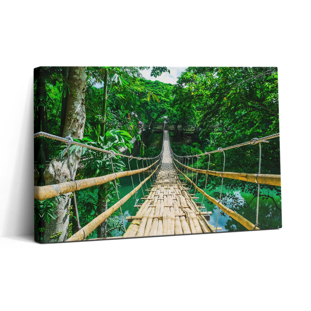 Obraz canvas 30x20 Most v lese na Filipínách
