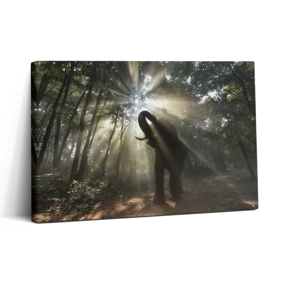 Obraz canvas 30x20 Slon v džungli