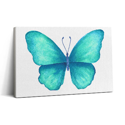 Obraz canvas 30x20 Tyrkysový letní motýl