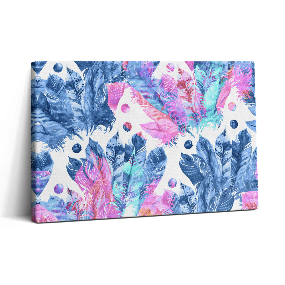 Obraz canvas 30x20 Barevné peří