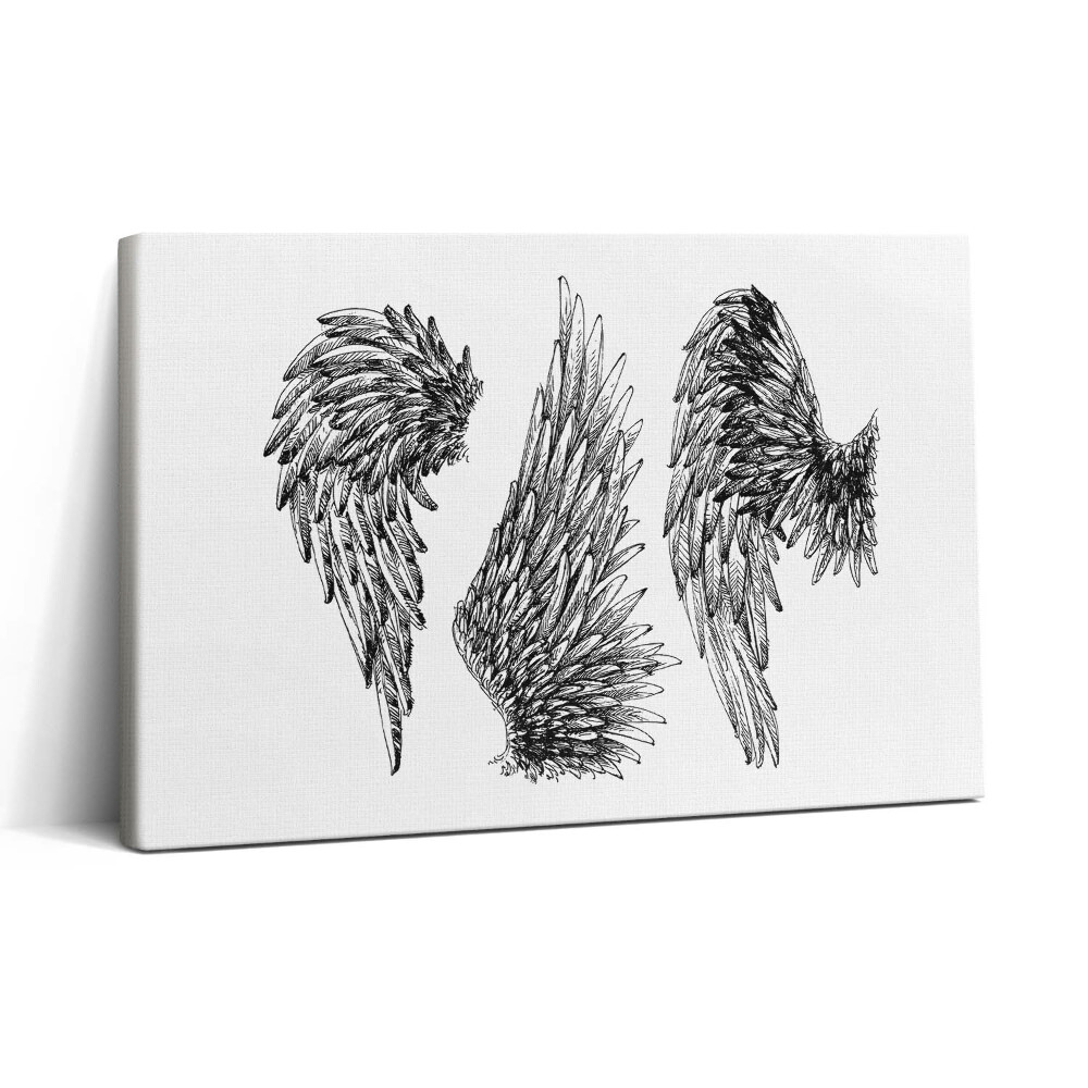 Obraz canvas 30x20 Křídla anděla