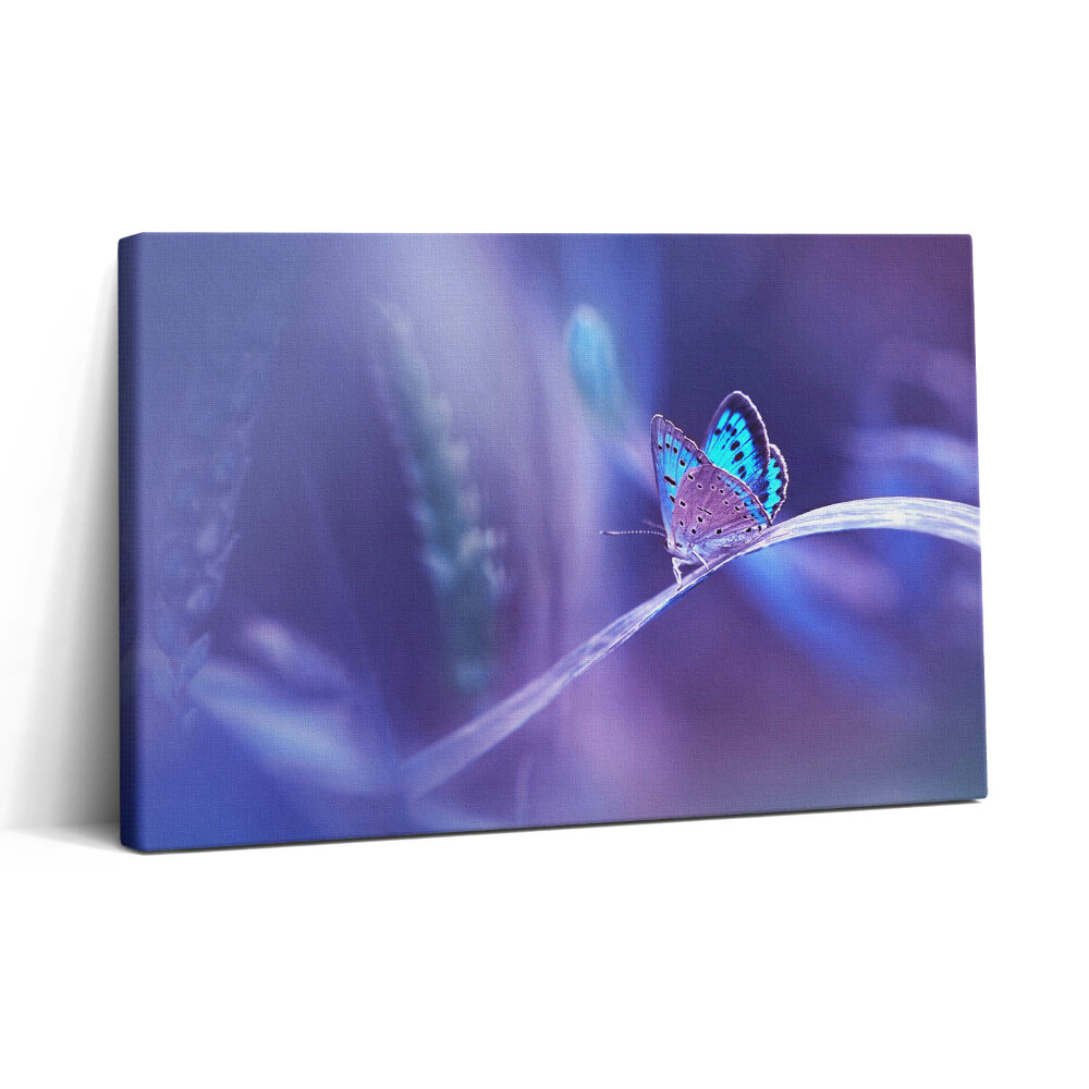 Obraz canvas 30x20 Motýl na trávě