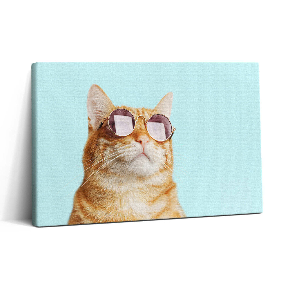 Obraz canvas 30x20 Legrační kočka s brýlemi