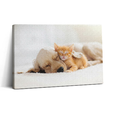 Obraz canvas 30x20 Spící zvířata kočka a pes