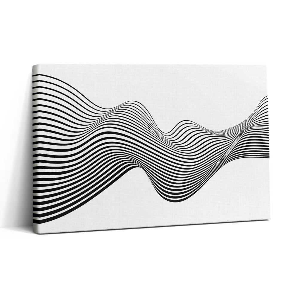 Obraz canvas 30x20 Lineární optické umění