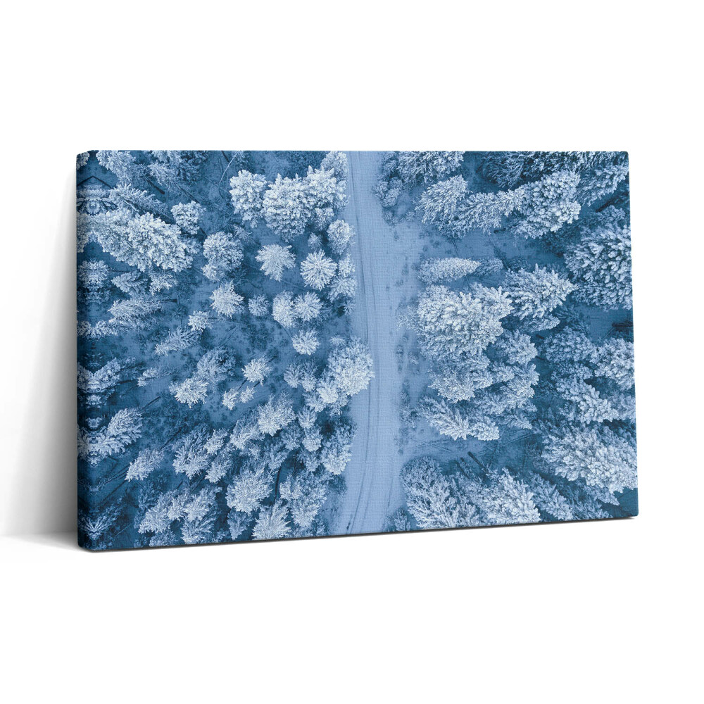 Obraz canvas 30x20 Les z ptačí perspektivy. Drony