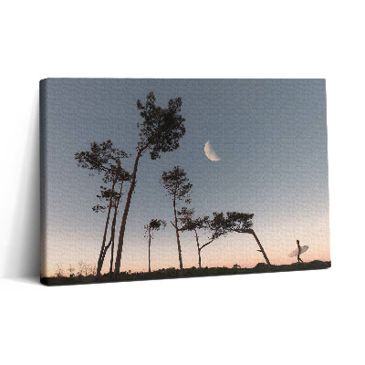Obraz canvas 30x20 Půlměsíc a stromy