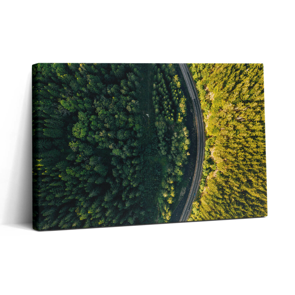 Obraz canvas 30x20 Les z dronu - Sněžná hora