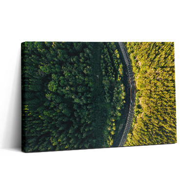 Obraz canvas 30x20 Les z dronu - Sněžná hora