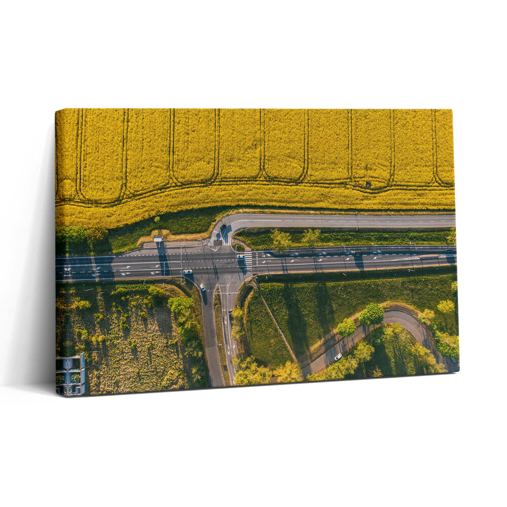 Obraz canvas 30x20 Pole z dronu v Poznani