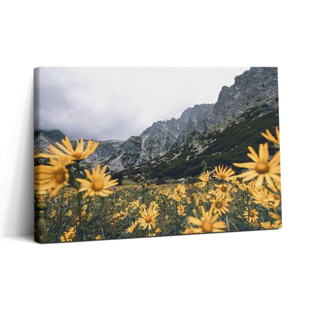 Obraz canvas 30x20 Květná louka v Tatrách