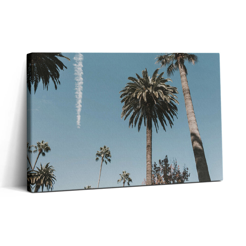 Obraz canvas 30x20 Palmy v Los Angeles