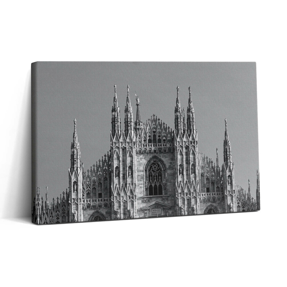Obraz canvas 30x20 Katedrála Duomo Di Milano v Římě