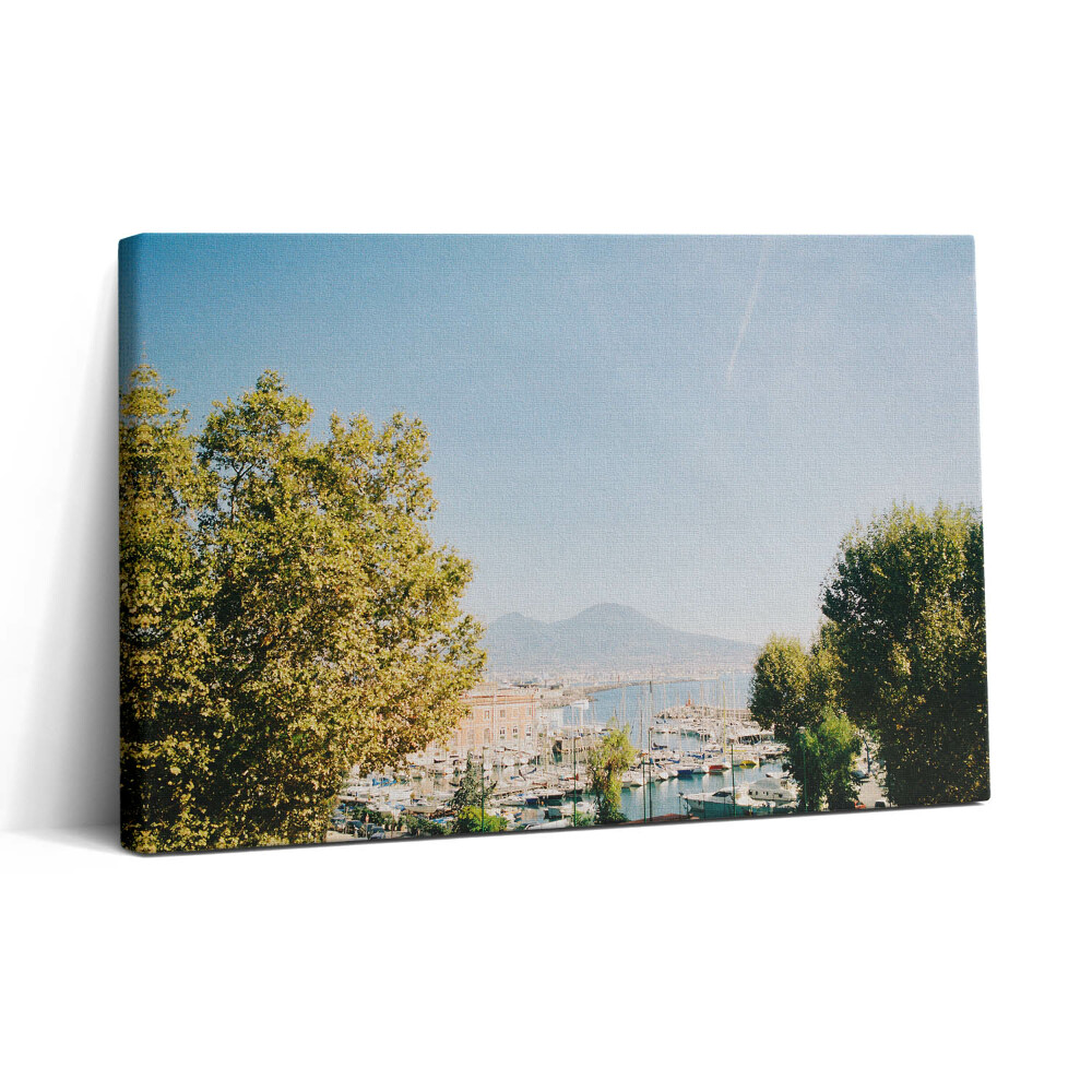 Obraz z fotografie na plátně 30x20 Zelené stromy v Neapoli