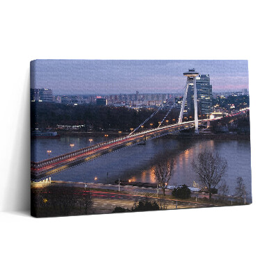 Obraz canvas 30x20 Most UFO přes Dunaj v Bratislavě