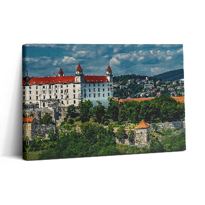 Obraz canvas 30x20 Bratislavský hrad
