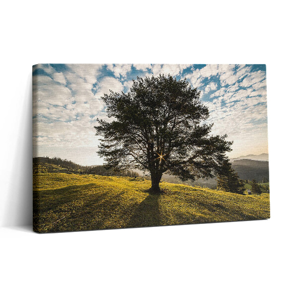Obraz z fotografie na plátně 30x20 Listnatý strom na kopci
