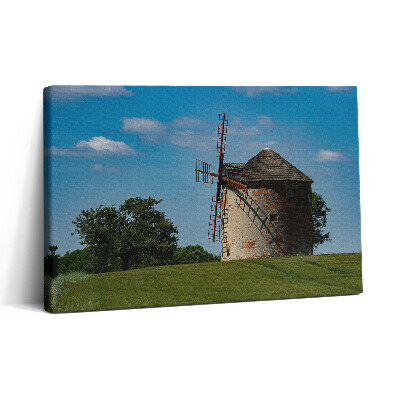 Obraz canvas 30x20 Větrný mlýn na Moravě