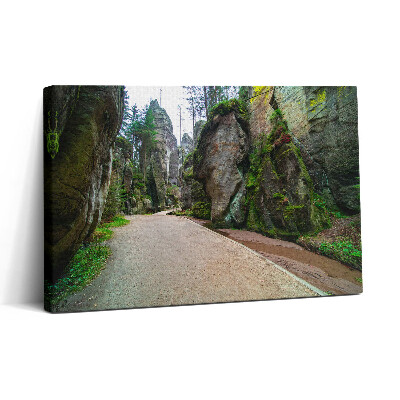 Obraz canvas 30x20 Skalní město v České republice