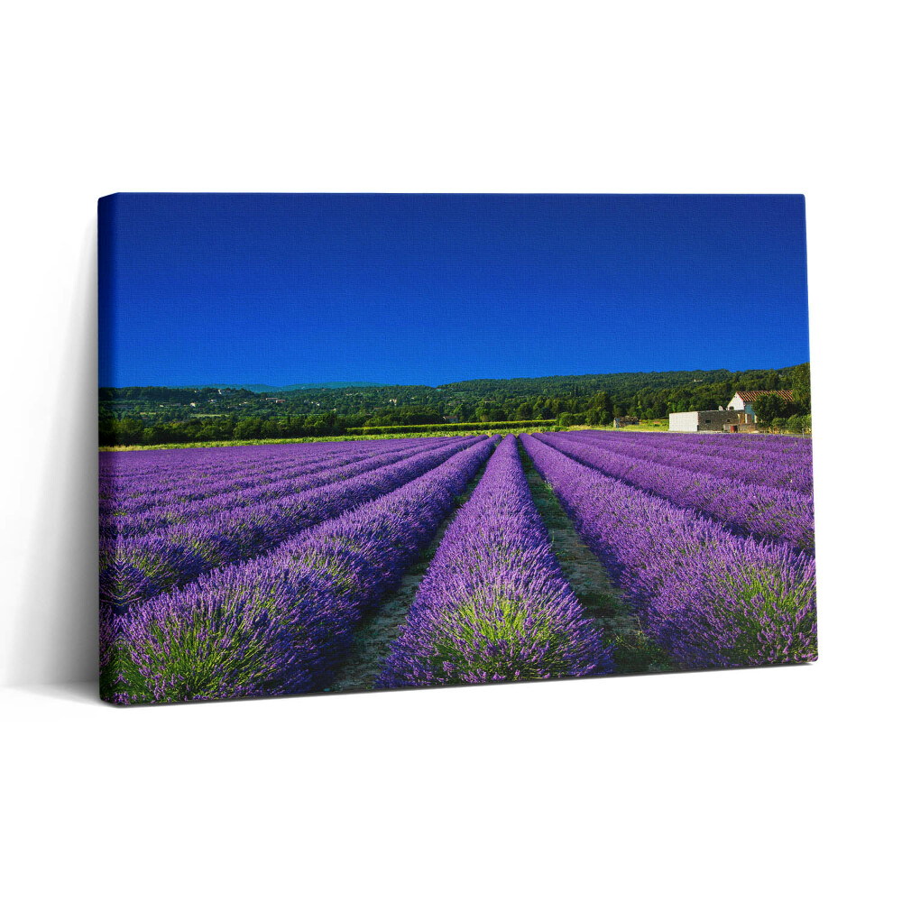 Obraz canvas 30x20 Levandulové pole v Provence