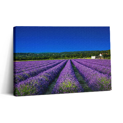 Obraz canvas 30x20 Levandulové pole v Provence