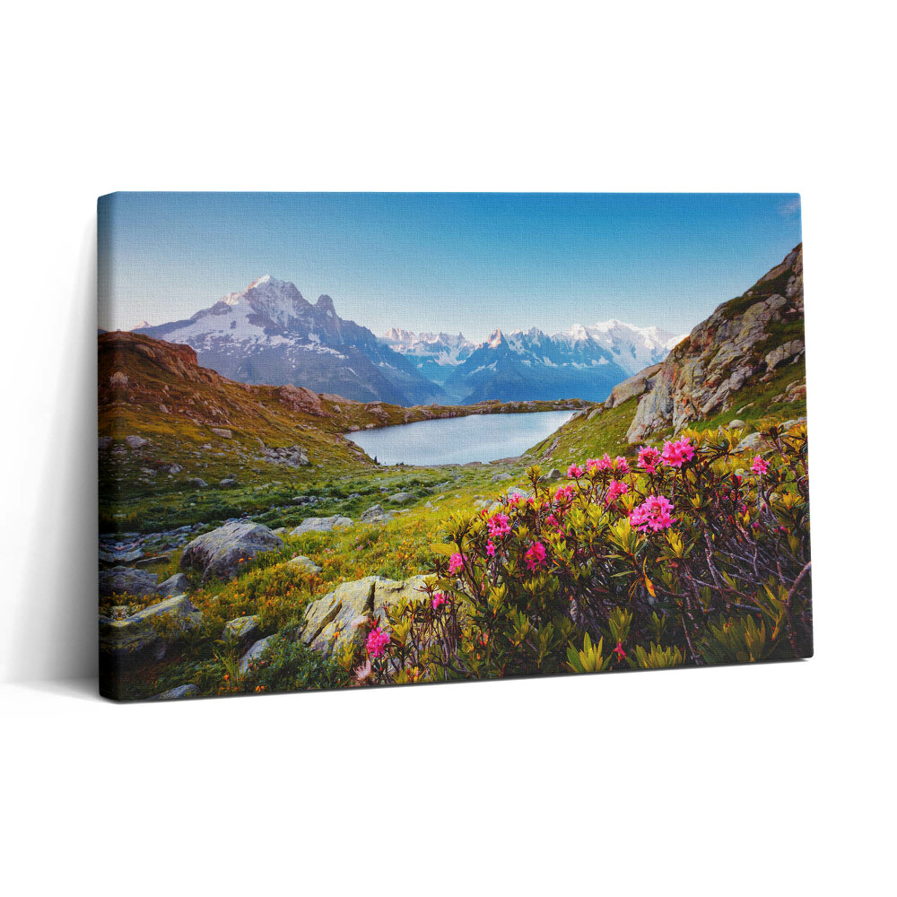 Obraz canvas 30x20 Ledovec Mont Blanc Chamonix