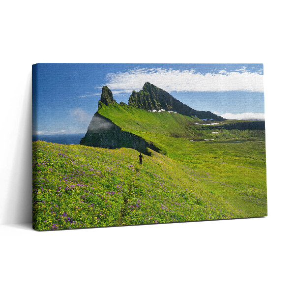 Obraz canvas 30x20 Přírodní rezervace Hornstrandir Island