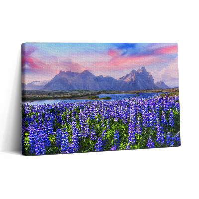 Obraz na plátně 30x20 Levandulová pole - Island