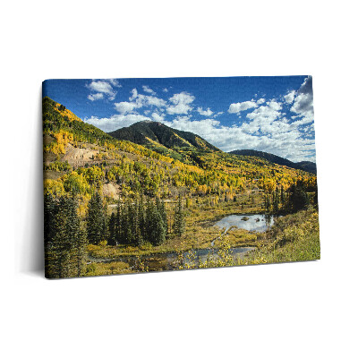 Obraz na plátně 60x40 cm Krajina s horskou vegetací