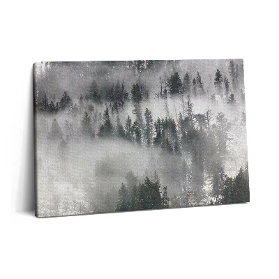 Obraz na plátně 60x40 cm Mlhavá krajina v lese