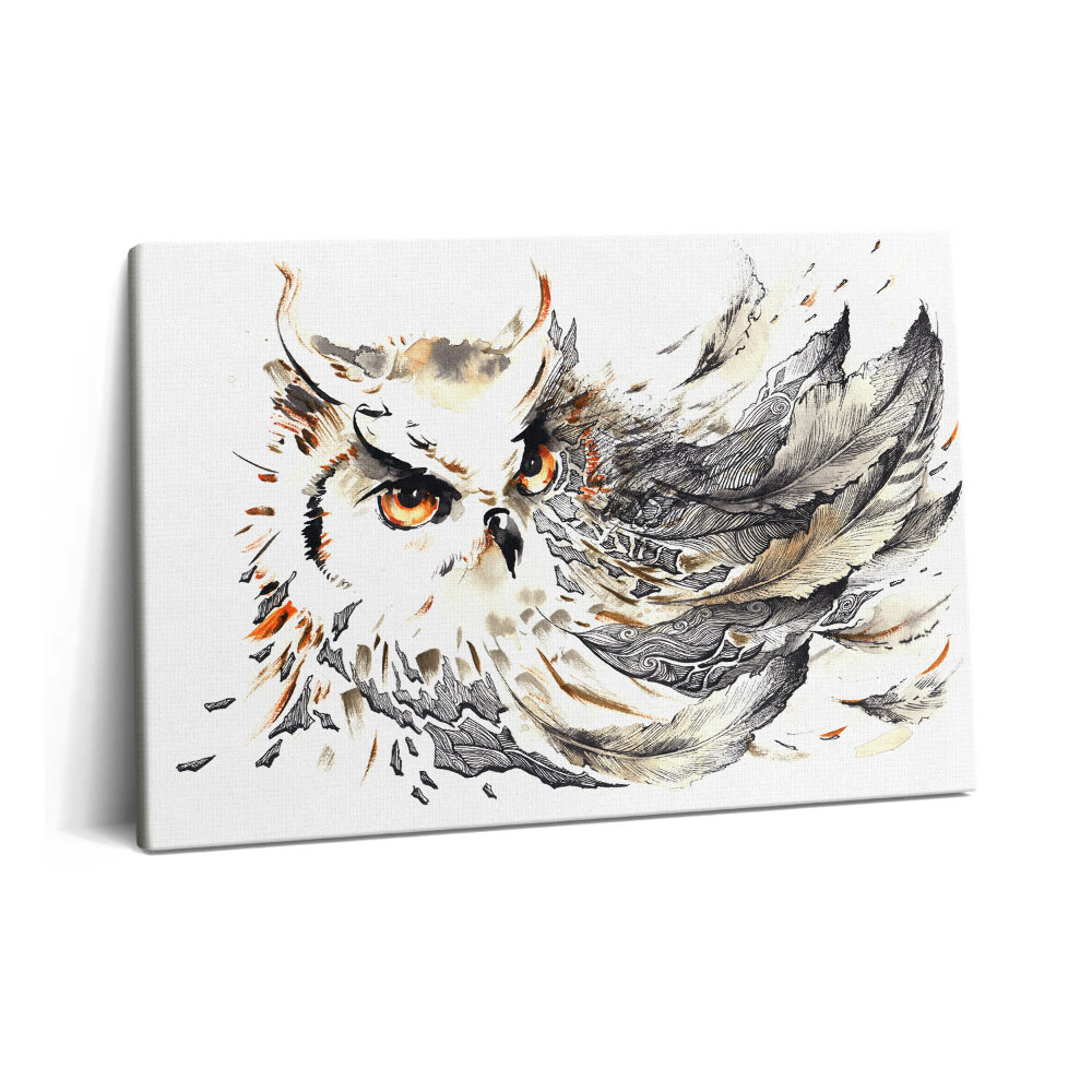 Obraz z fotografie na plátně 60x40 cm Sova symbol moudrosti a vědy