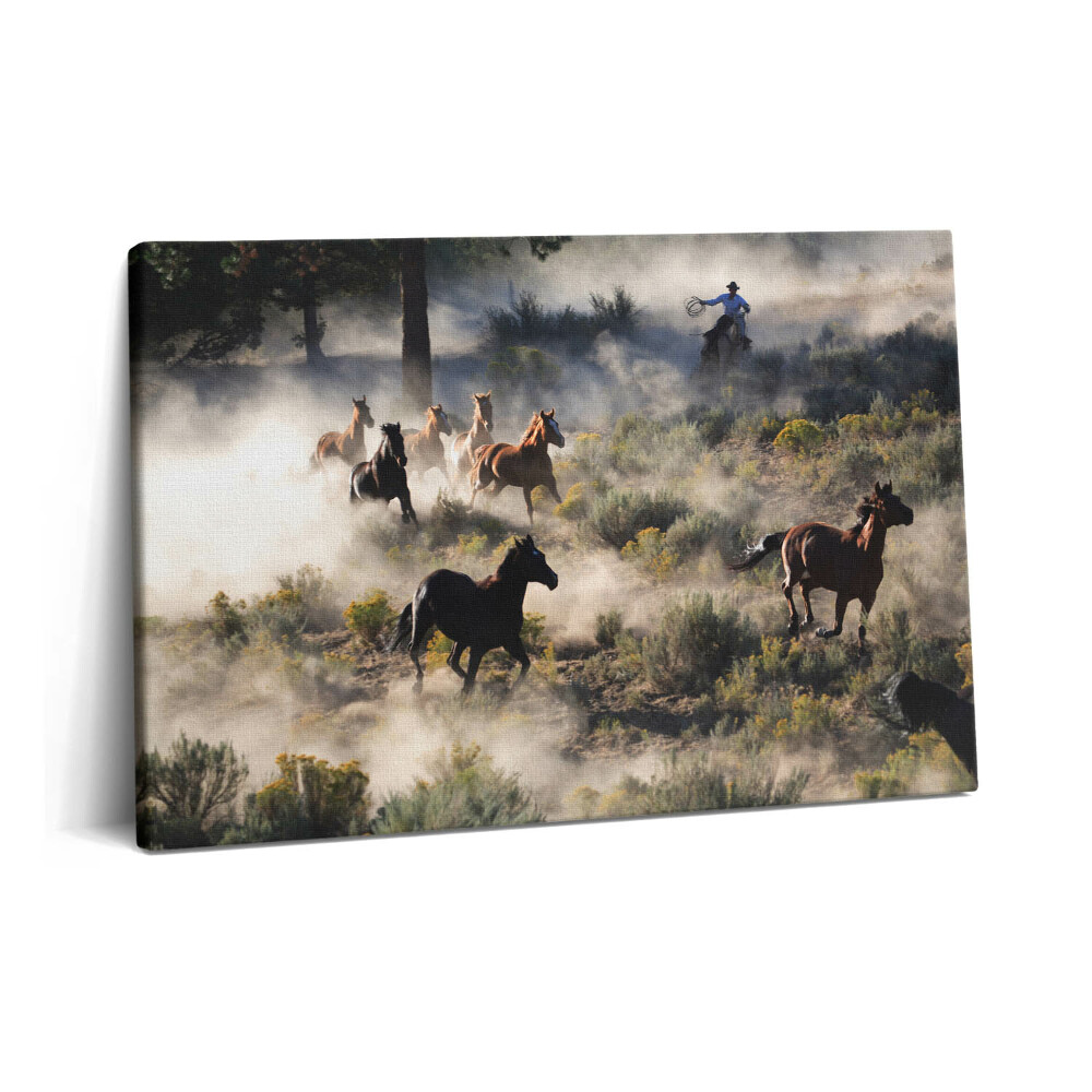 Obraz na plátně 60x40 cm Stádo cválajících koní