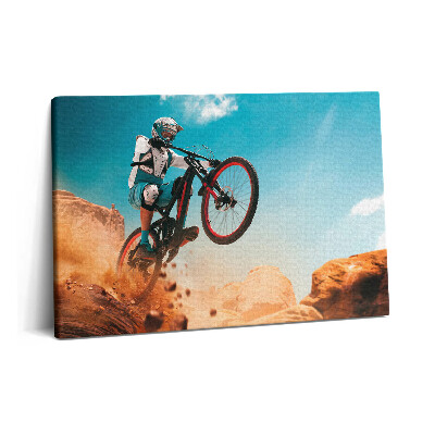 Obraz na plátně 60x40 cm Jízda na motorce v poušti