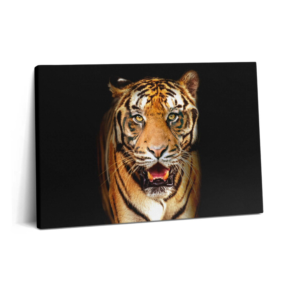 Obraz na plátně 60x40 cm Expresivní divoká tygří kočka