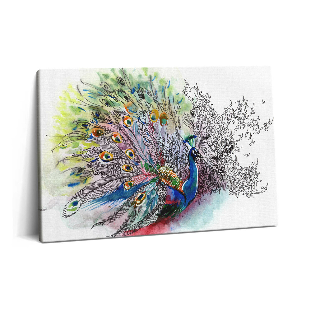 Obraz z fotografie na plátně 60x40 cm Barevný páv