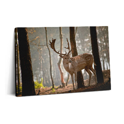 Obraz na plátně 60x40 cm Jelen v záři vycházejícího slunce