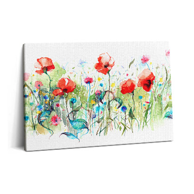 Obraz na plátně 60x40 cm Mák na louce